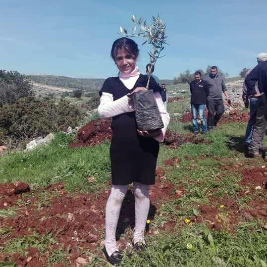 Plant a Tree in Palestine: Solidarity in Action