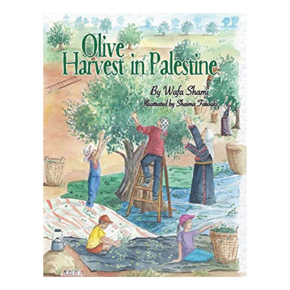 Olive Harvest in Palestine