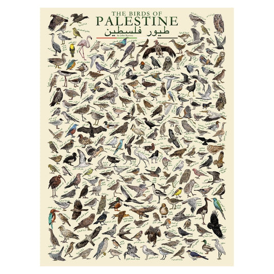 The Birds of Palestine (Arabic)
