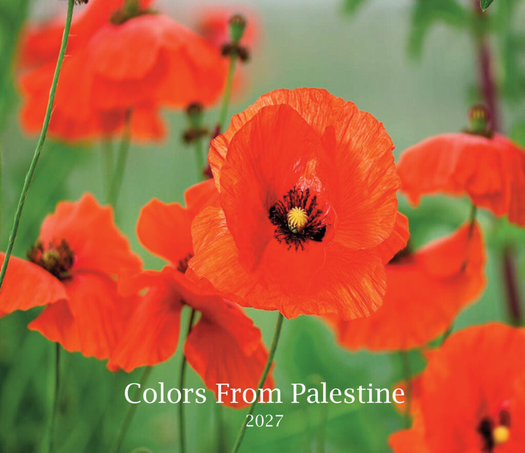 Colors from Palestine: 2027 Calendar