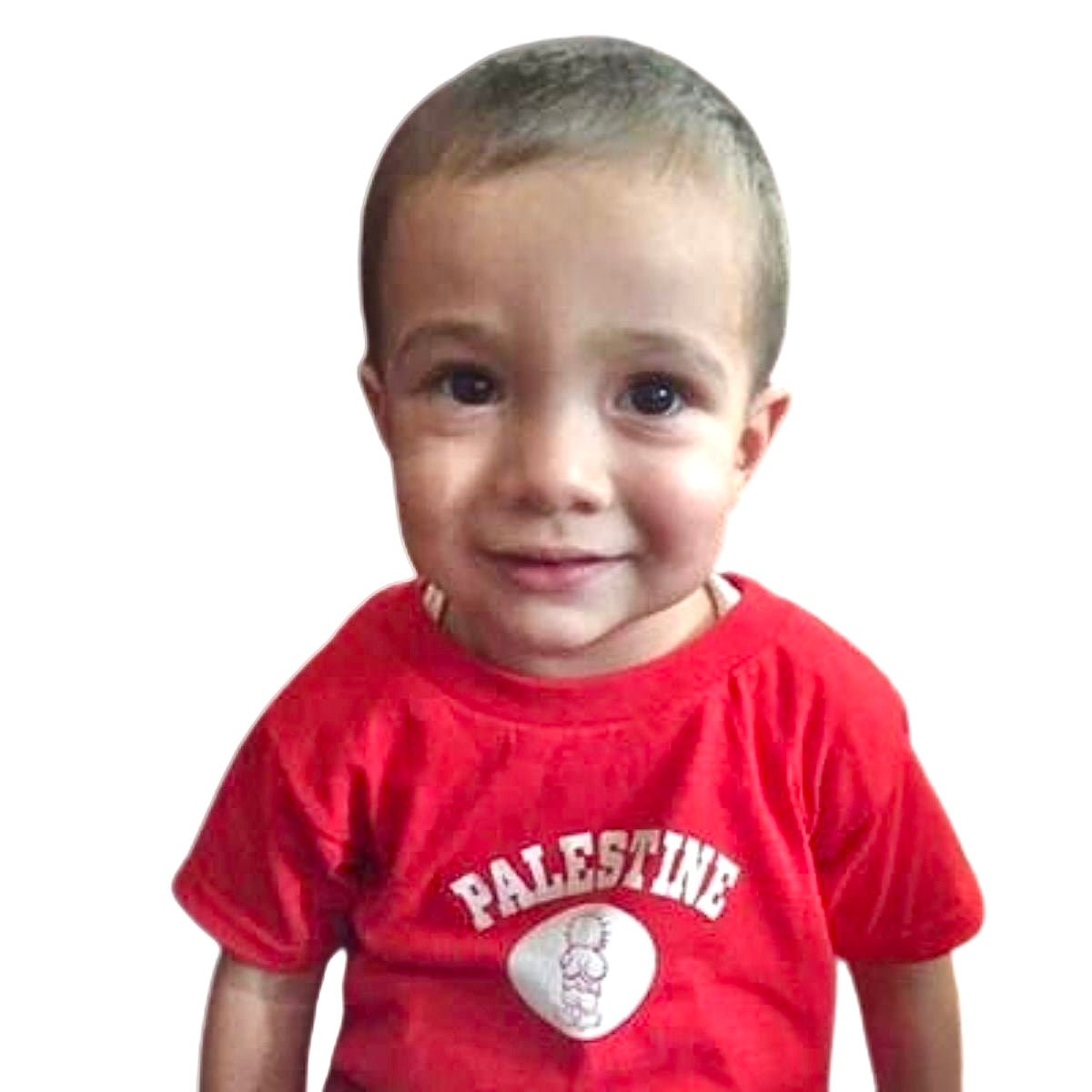 T-shirt - Palestine/Handala (Toddler)