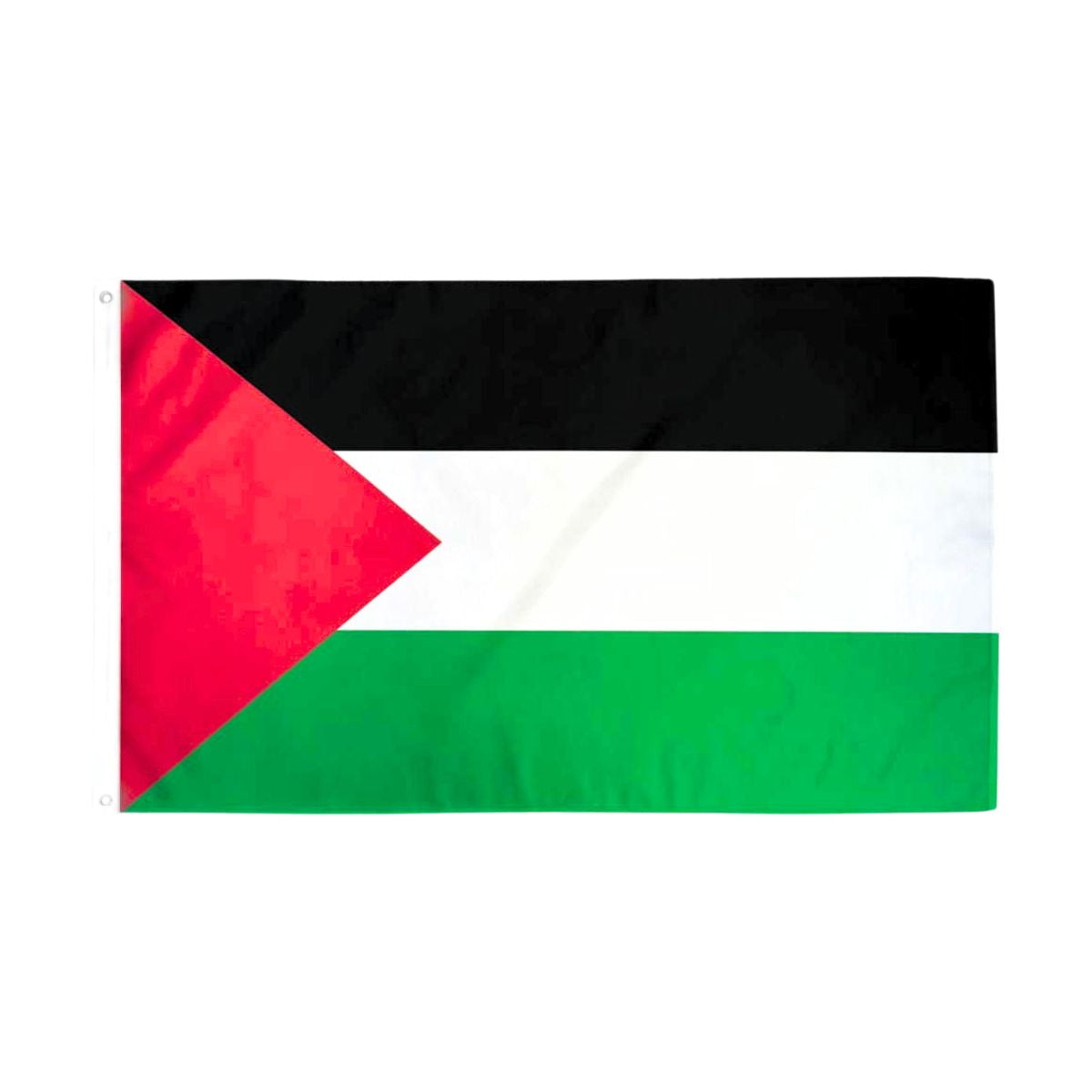 Palestine Flag 3 X 5