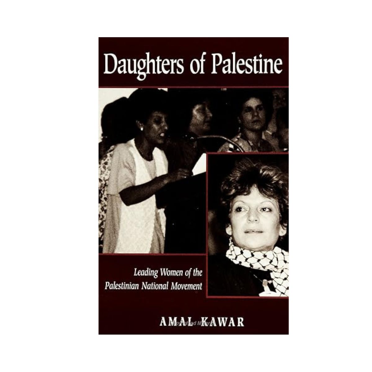 Daughters of Palestine: Leading Women of the Palestinian National Movement