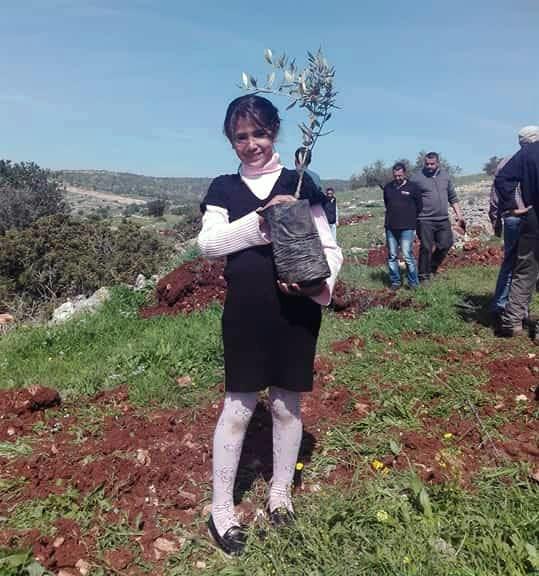 Plant a Tree in Palestine: Solidarity in Action