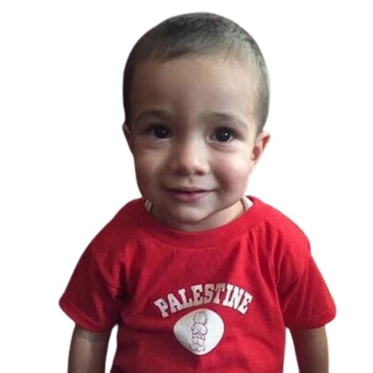 Kid's Palestine T-shirt (Toddler)